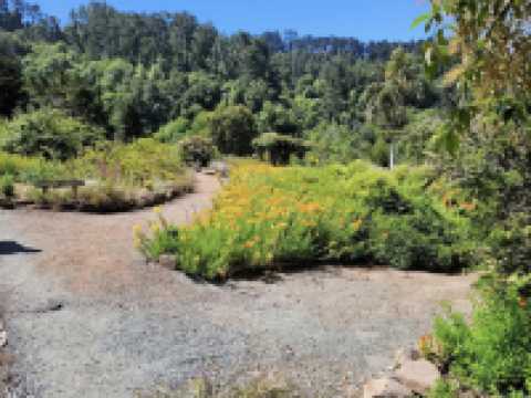 University of California Botanical Garden