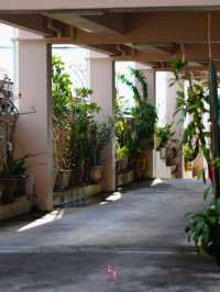 🤣Goldenbeach Boutique Resort