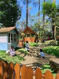 Orchid Forest Cikole: A Nature Escape