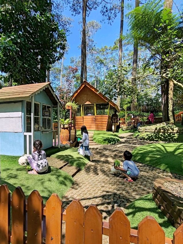 Orchid Forest Cikole: A Nature Escape Orchid Forest Cikole: A Nature Escape