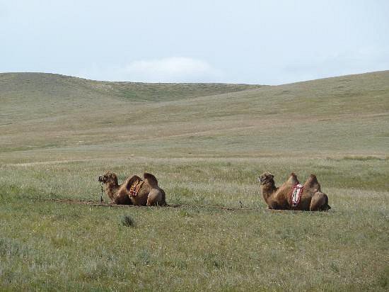 Hustai National Park - Fantastic animal viewing.