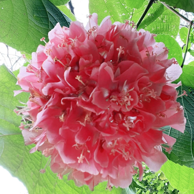 A Jungle in the Mediterranean: Family Adventure at Val Rahmeh Garden