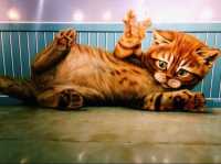 馬來西亞🇲🇾3D藝術博物館