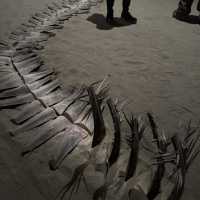 台北∣北美館2025台北雙年展∣ 走進 30+ 城市的心事