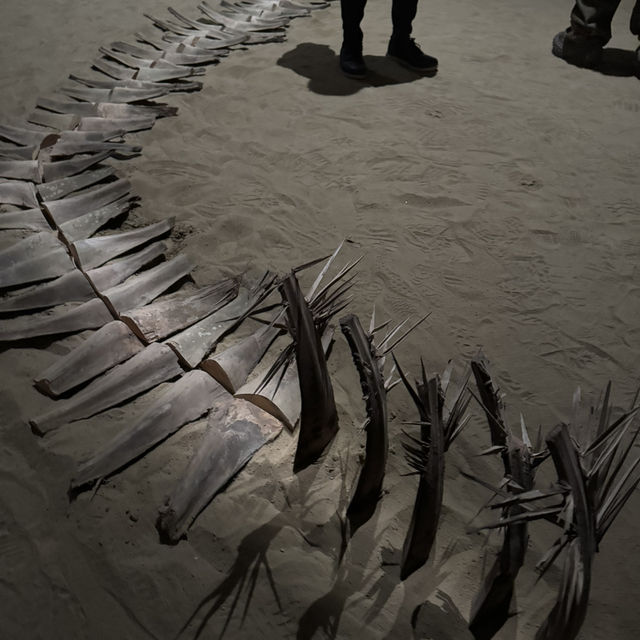 台北∣北美館2025台北雙年展∣ 走進 30+ 城市的心事