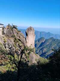 The Triple-Stacked Tortoise