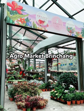 Discover Nature’s Beauty at Agro Market Cameron Highlands