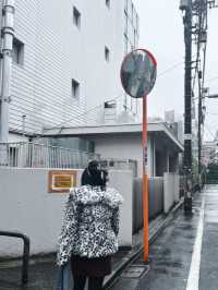 Japan 'Asakusa' Guide