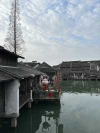 🍵 烏鎮早茶客|一定要吃一頓早茶,水鄉早晨最治癒的開始!