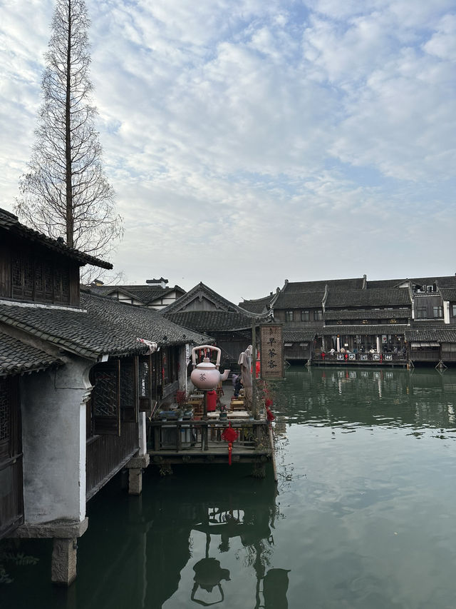 🍵 烏鎮早茶客|一定要吃一頓早茶,水鄉早晨最治癒的開始! 🍵 烏鎮早茶客|一定要吃一頓早茶,水鄉早晨最治癒的開始!