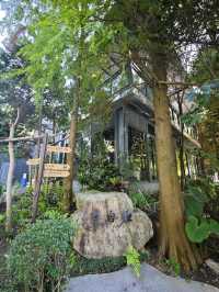 🌲落羽松秘境中的蔬食饗宴#🌿 澄石享自在-臺中市北屯區