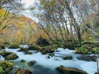 跟著松尾芭蕉的足跡～東北奧之細道賞楓