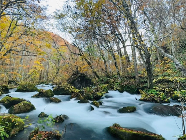 跟著松尾芭蕉的足跡～東北奧之細道賞楓