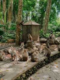 Bali - Indonesia ✨🔥