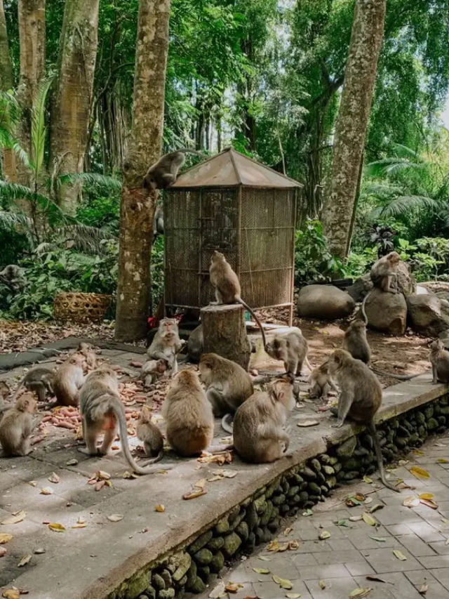 Bali - Indonesia ✨🔥