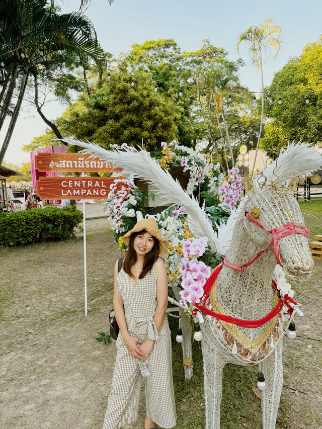 “Lampang Orchid & Aurora Festival” “Lampang Orchid & Aurora Festival”