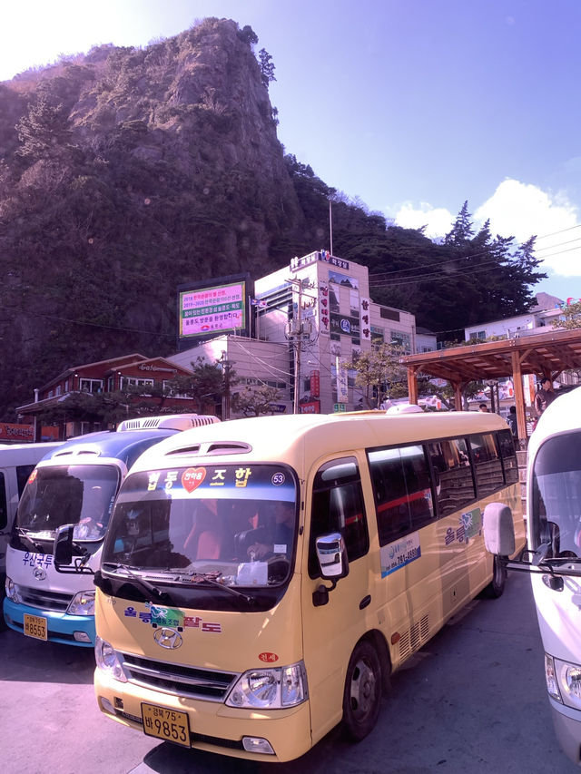 Seaside Christmas🎄 Seaside Christmas🎄