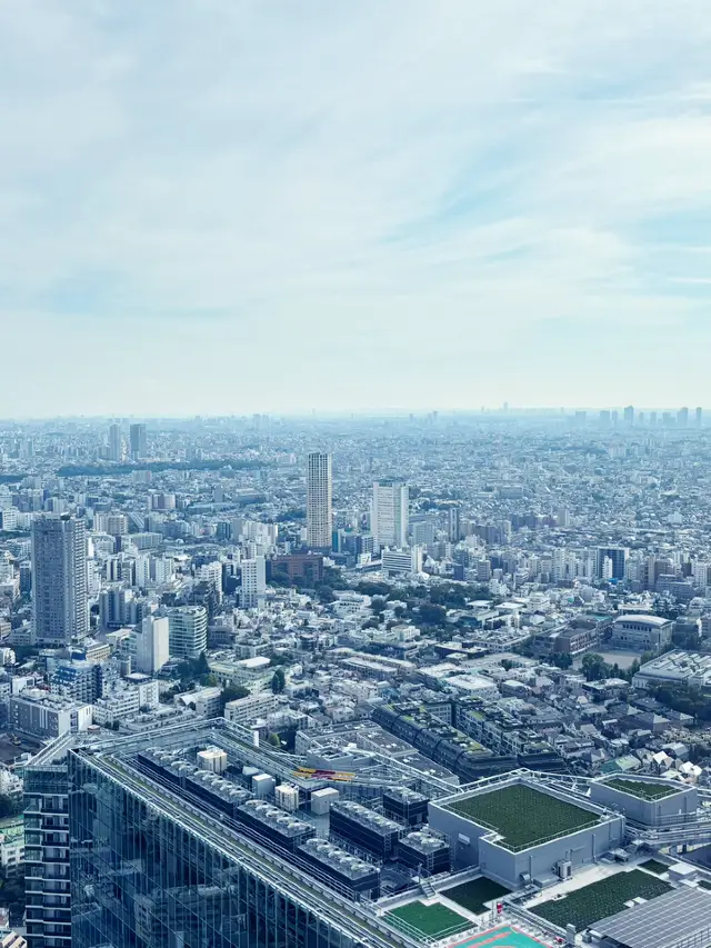 Shibuya Sky：俯瞰東京的高樓之巔 🌆✨