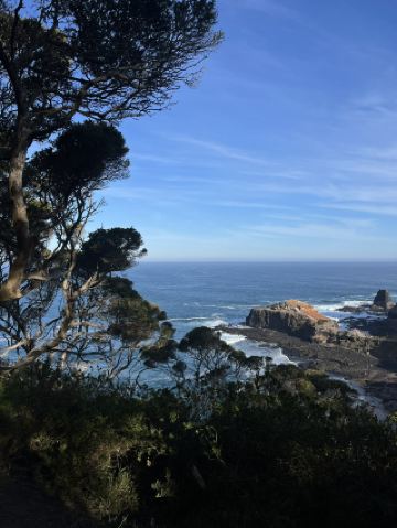 Melbourne ไม่ได้มีแค่ Great Ocean Road