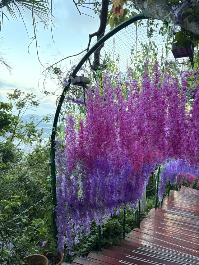 三亞鳳凰嶺公園