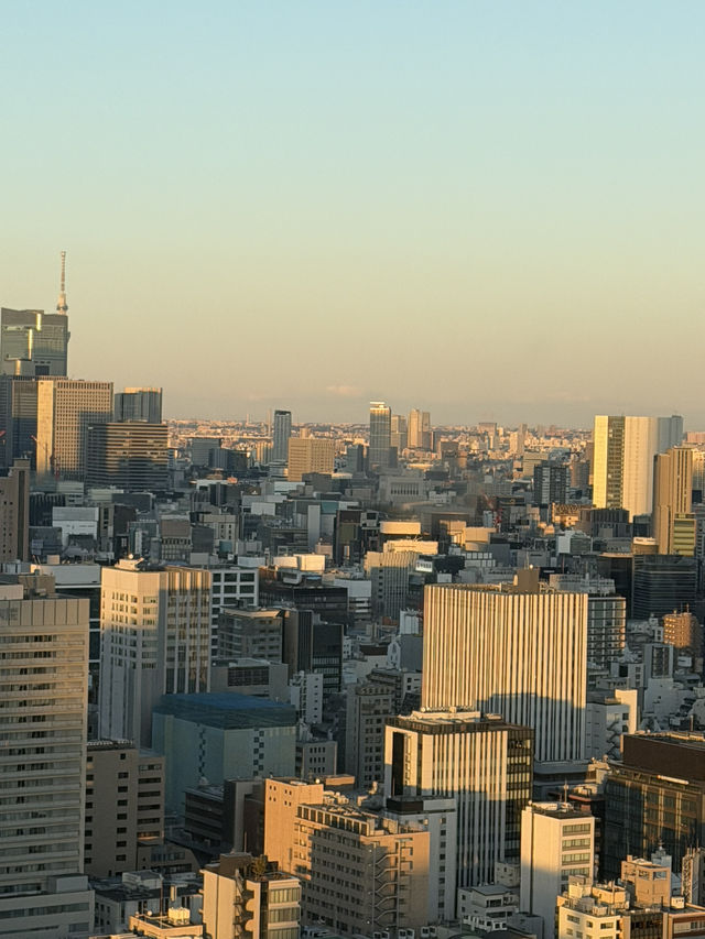 Tokyo Tower: Sunset Vibes & City Lights 🌆✨