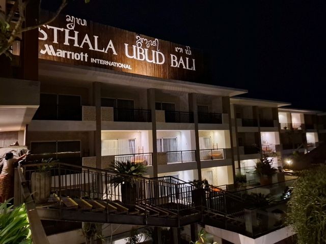 燈光一盞盞亮起，酒吧瞬間從度假風切換成微微神秘的夜晚叢林酒館