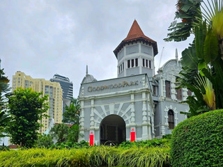 Singapore Staycation Goals: Goodwood Park Hotel & Sushi Feasts at Shima 🍣✨