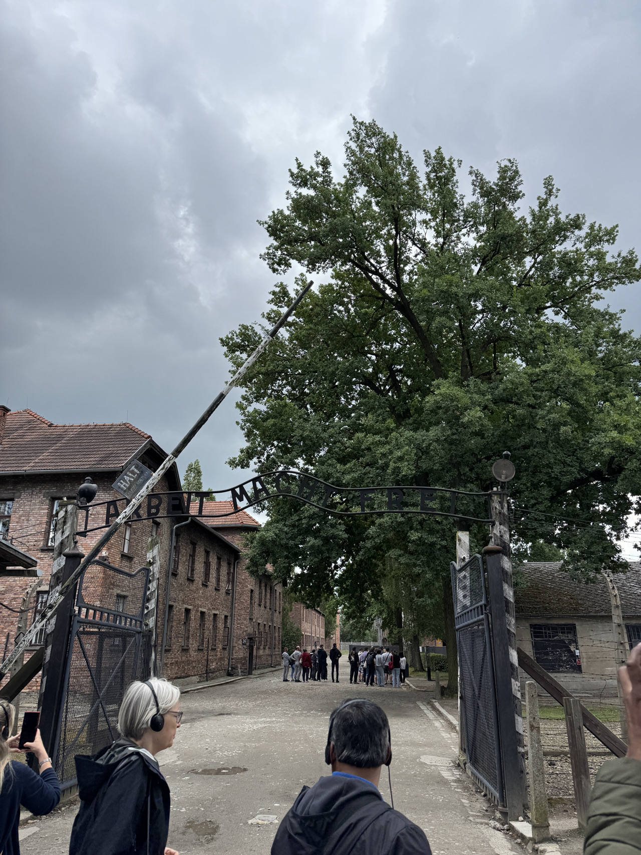 Auschwitz In-Depth Day Tour | Historical Walking Tour & Official Info Guide.