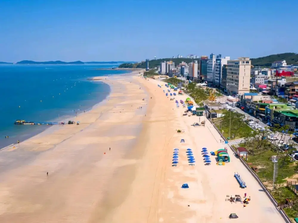 🏖️ “놀면서 즐기는 바다”《대천 해수욕장》