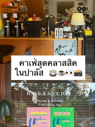 Papa Café ปาลัส 🤎📸👀คาเฟ่ที่ทั้งเก๋ ทั้งสวย 