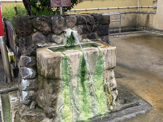 熊本六日遊:熊本城、熊本屋台村、島原城、城趣園、熊本動植物園、阿蘇草千里