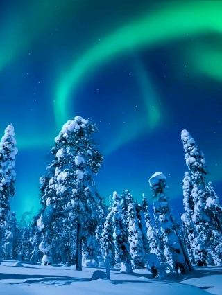 💚 Inari, Finland | Chasing the Northern Lights