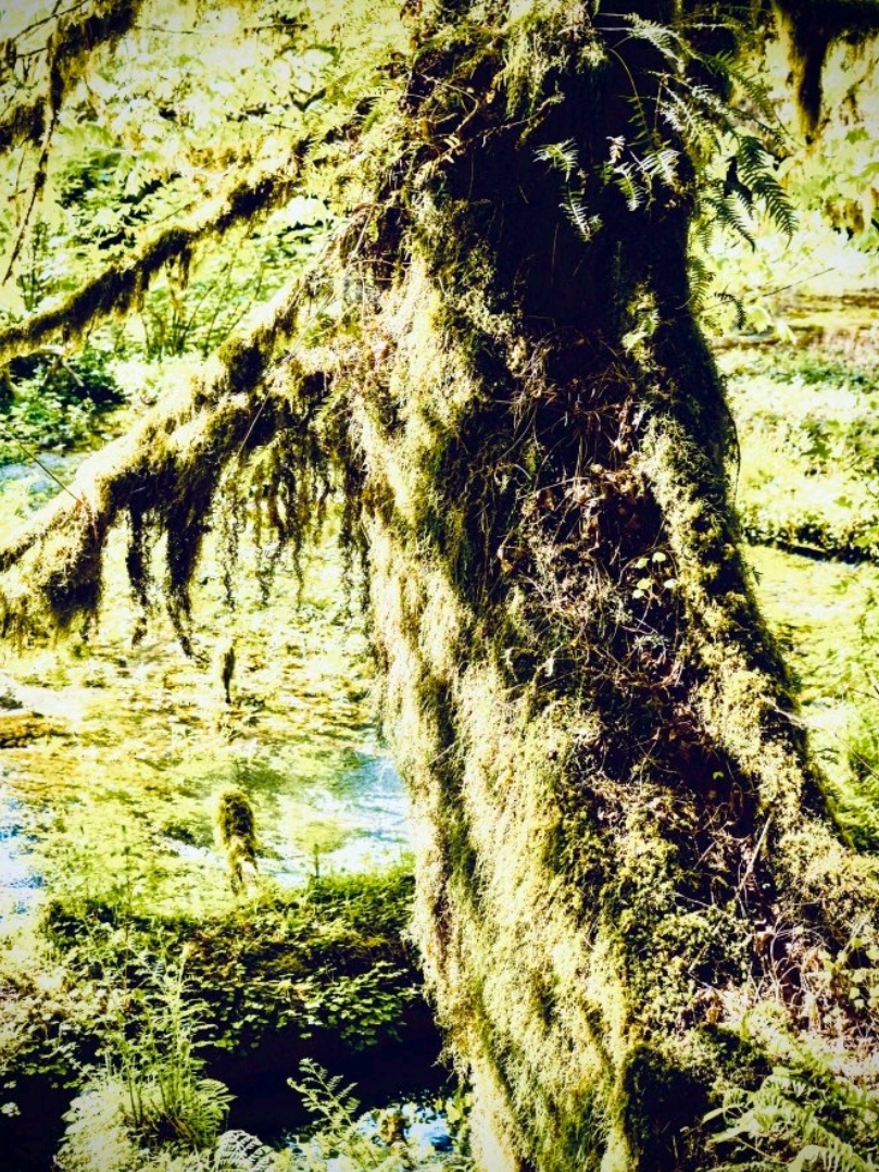蔵王温泉の大露天風呂に必要な持ち物