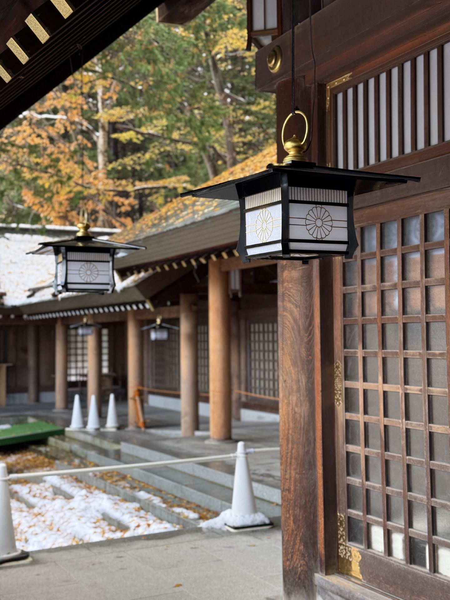 北海道が最も美しく輝く季節。
