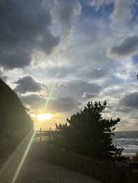 【東京・神津島】調布から飛行機で約45分✈️ 海・夕日・民宿を楽しむ東京の離島旅