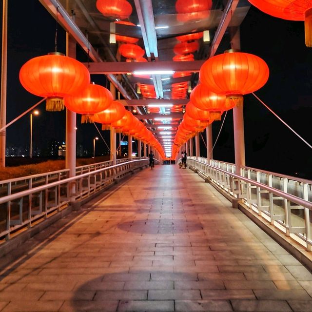 Shenzhen is ready for the rabbit 🐰 🏮 