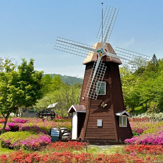 대청호 인문학 스토리여행 투어 예술가와의 산책