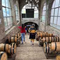 墨西哥-Tequila小鎮龍舌蘭酒廠之旅