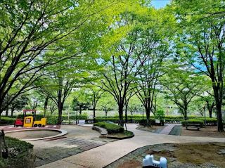 Kumibashi Park