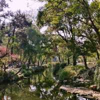 蘇州慢遊指南｜西園寺·拙政園·蘇州博物館 