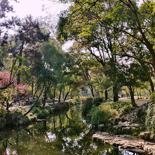 蘇州慢遊指南｜西園寺·拙政園·蘇州博物館 