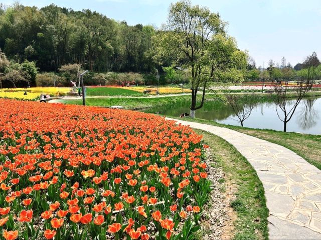 長沙園林生態園