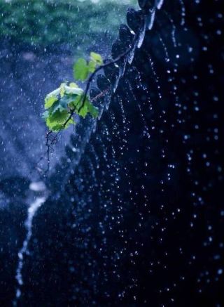 Caught in the torrent of today's information age, it's far too easy to lose ourselves. Bombarded daily by endless notifications and held hostage by expectations, we slowly forget.