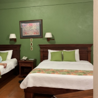 Fantastic one night stay in the rainforest 