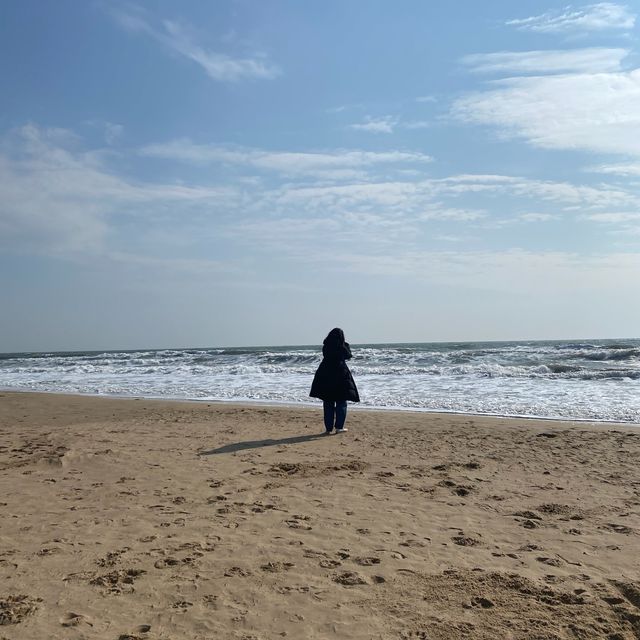 🇬🇧 겨울에 떠나는 바닷가 ‘본머스’ 피어 🎡🏖️