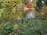 Türkenschanzpark Vienna in autumn 🗺️