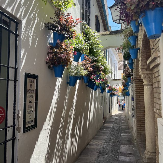 【スペイン】コルドバPatio祭り🌷