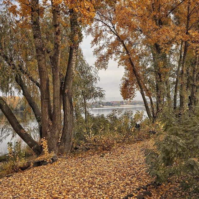 Autumn in Park Natalka 🗺️