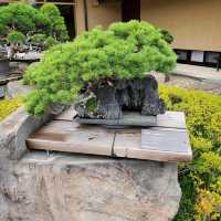 Omiya Bonsai Art Museum, Saitama 🗺️