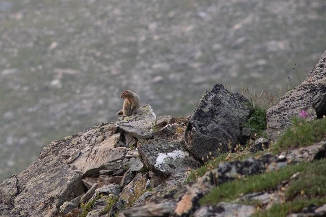 Discovering Denali National Park